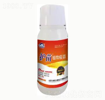 �o(h��)��ֲ������-��혻���