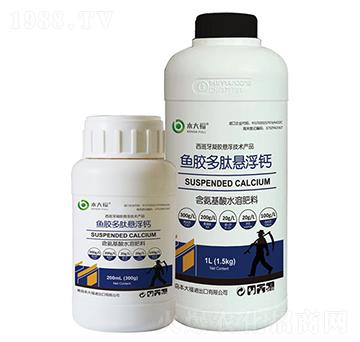 �~(y��)�z���đҸ��}-����