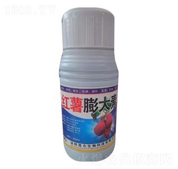 �t�������-�����_(d��)