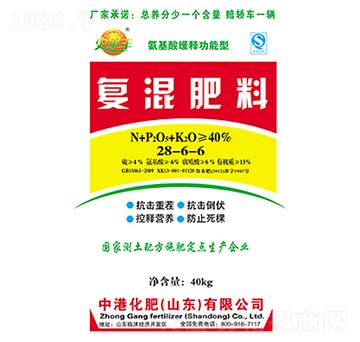 ��(f��)�����28-6-6-�иۻ���