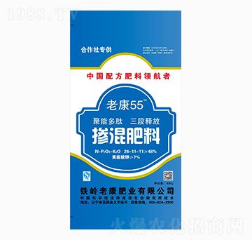 �������-�Ͽ�55-�Ͽ��ʘI(y��)