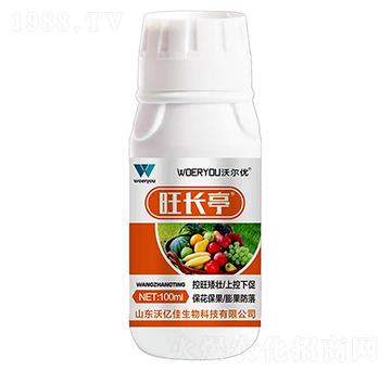 ���Lͤ-�֠���(y��u)