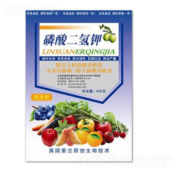 ��������-�ú���-������