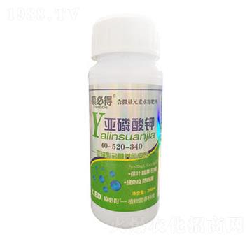 �������-���ص�-������