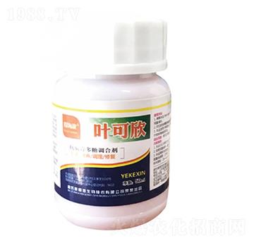 �V�Vͨ�����~���-�~����-������