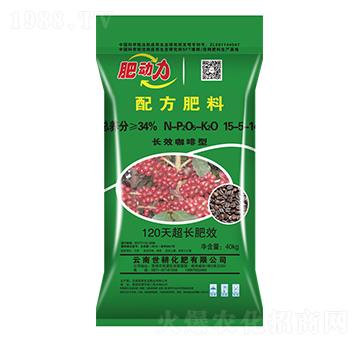 �LЧ�������䷽����-����