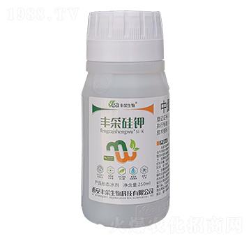 �S�ɹ��-�S������