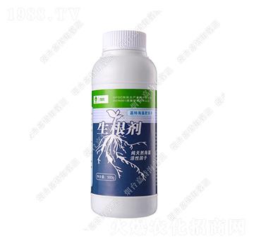 ����������-��������