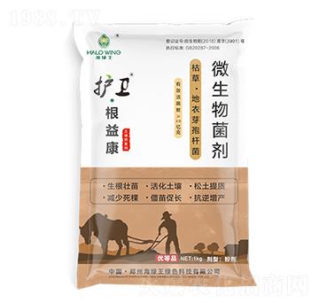 �o�l(w��i)�����濵-���G��