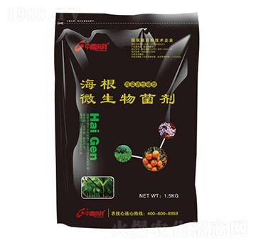 ΢�������-����-���ظ߿�