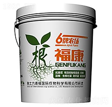 ������-������