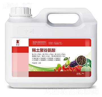 ϡ���۹Ȱ���-��֮��