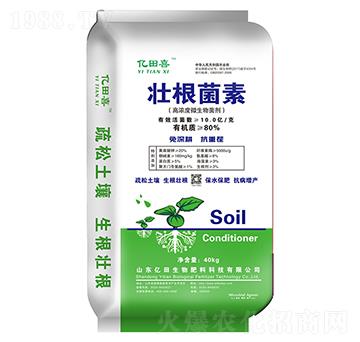 �Ѹ�����-�|������