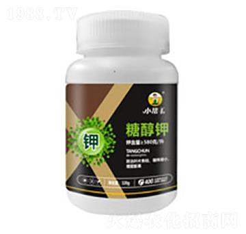 �Ǵ��-����������