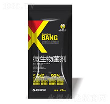 25kg΢�������-����������