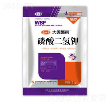 ��������-��΢����-��؁�(l��i)����