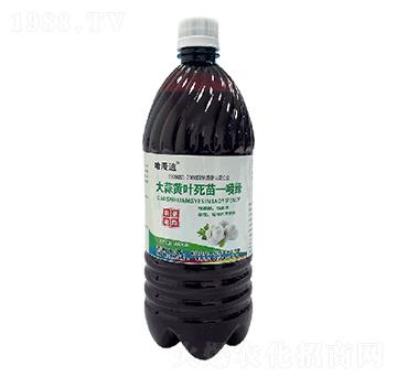 �����S�~����һ���G-�ο�ֲ��