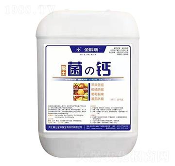 ϡ�����}-�����