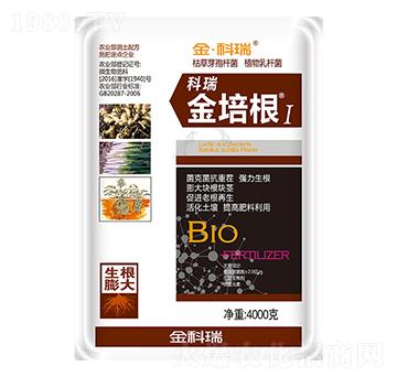 �����1̖(h��o)-�����