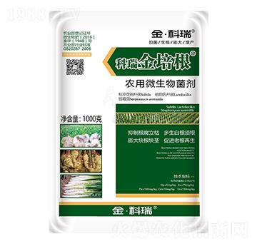 �r��΢�������-�����-�����