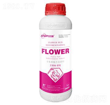 ��������ˮ�ܷ���-�����𡤴ٻ�-������