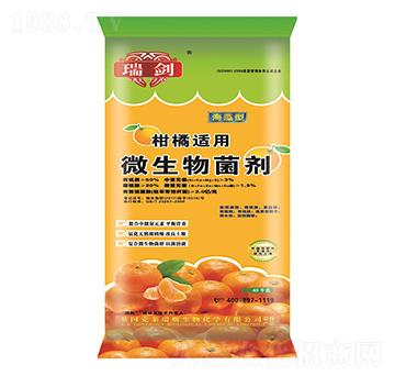 �����m��΢�������-����-����ʩ�ʘI(y��)