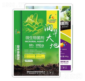 �������-���A�r(n��ng)�I(y��)