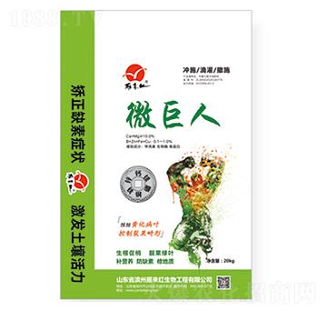 ��΢��Ԫ��-΢����-���(l��i)�t