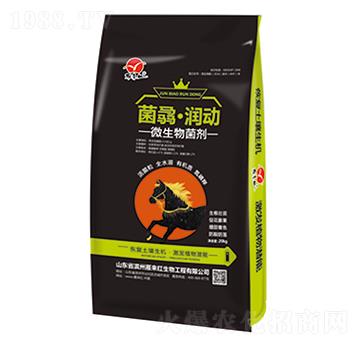 ΢�������-���T������-����t