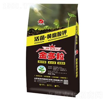 ������S�����-�����-����t