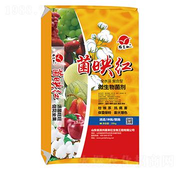 ΢�������-��ӳ�t-���(l��i)�t