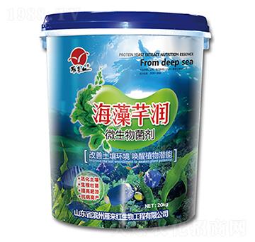 ΢�������-����ܷ��-����t