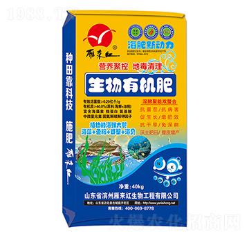 �����ЙC��-��������-����t