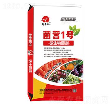 ΢�������-���I1̖-����t