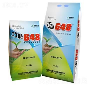 ����I�B(y��ng)�ʹ���Ԫ��ˮ�ܷ�20+20+20+TE-����648-���ŷʘI(y��)