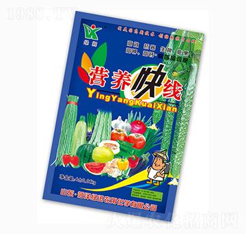 �I(y��ng)�B(y��ng)�쾀-�GѸ