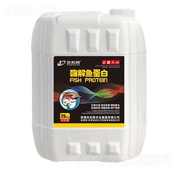 ø���~����-�����R