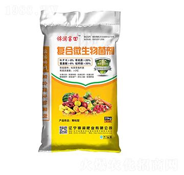 ��(f��)��΢�������-�\��(r��n)����-�\��(r��n)�ʘI(y��)