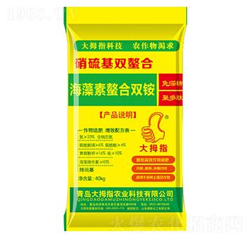 �����������p�@-��Ĵָ