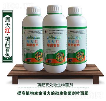 ΢�������-����t��������ɫ-��������