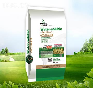 �󽪌�������-������