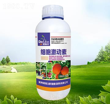 ��(x��)��������-������