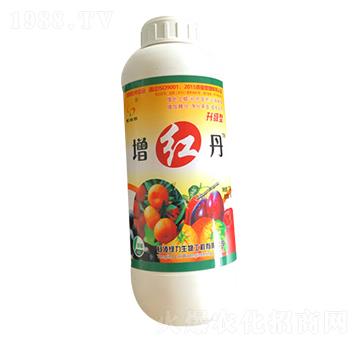 ���t��-�G��