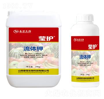 ���w�-���o-��������