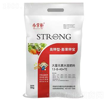 ����͡����⛌�����Ԫ��ˮ�ܷ�13-8-40+TE-С�ƹ�-���н�