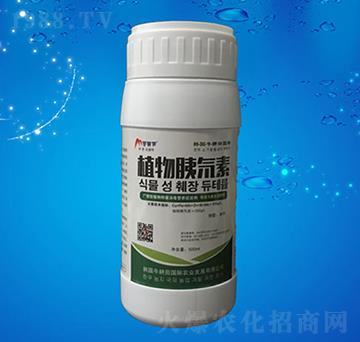 ֲ�������-���r(n��ng)�ط�