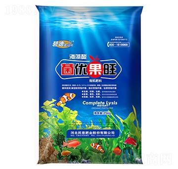 �ЙC(j��)����-����(y��u)����-����ʘI(y��)