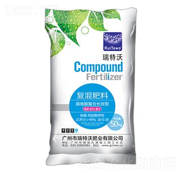 �S���������(f��)�����20-5-20-������