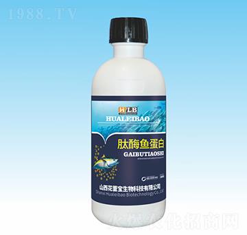 ��ø�~����-���ٌ�����