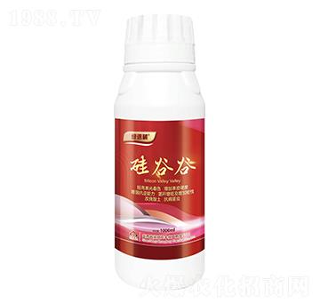 1000ml��ȹ��~���-�G����-�L(zh��ng)�S����